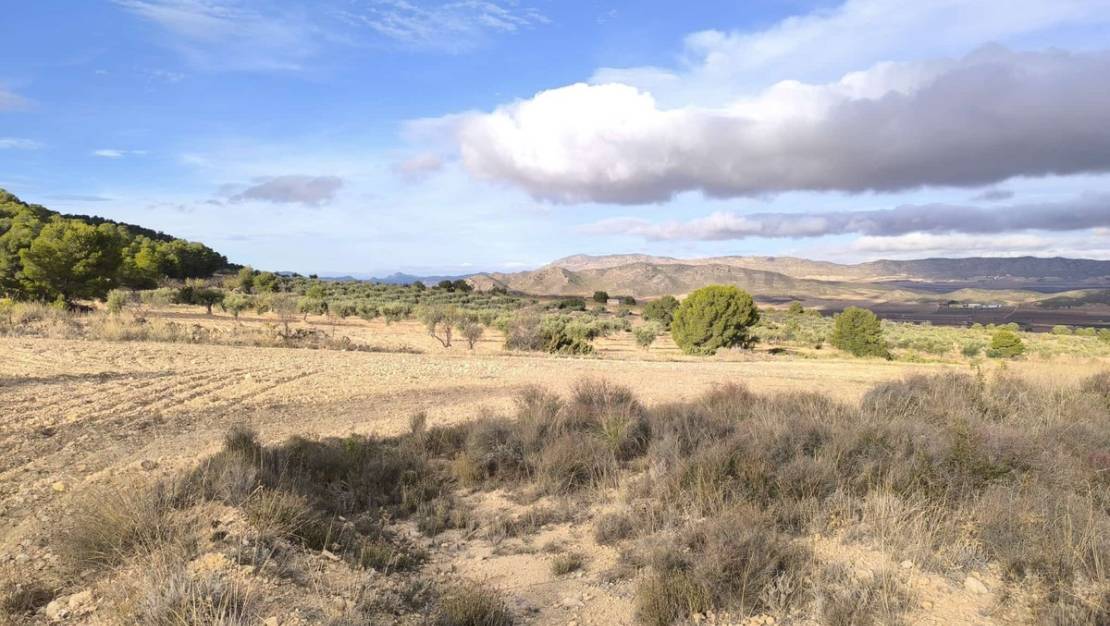 Sale - Country House - Yecla - Yecla Centro