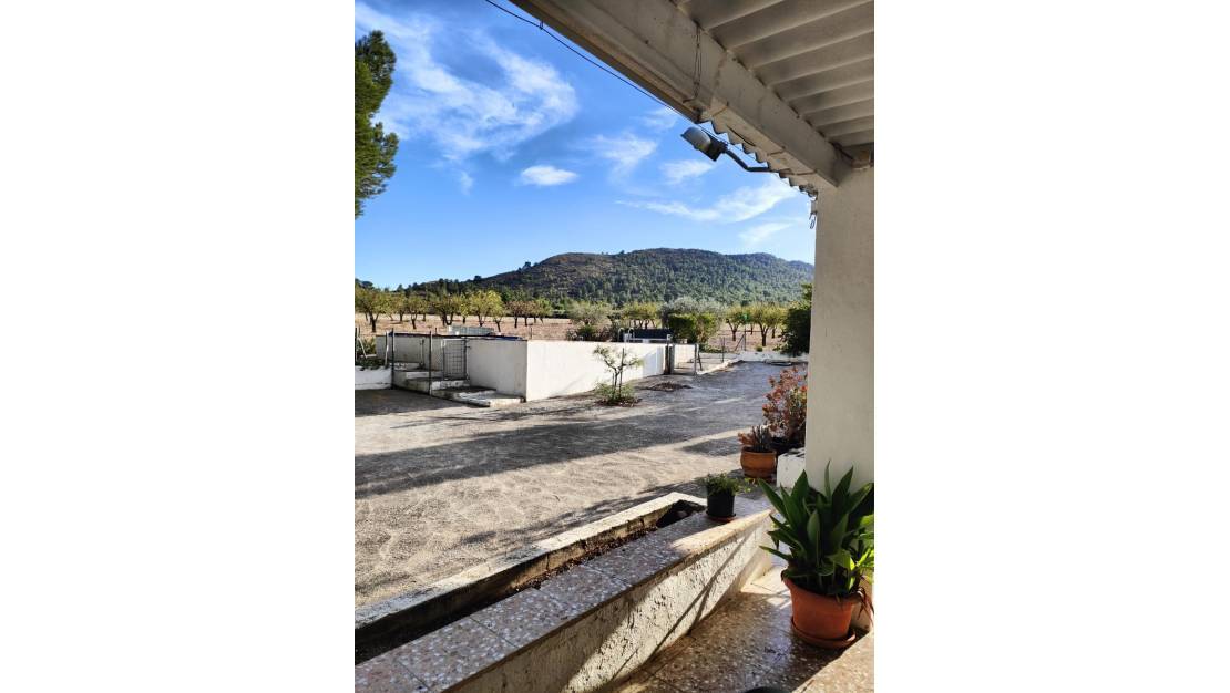 Sale - Country House - Yecla - Yecla Centro