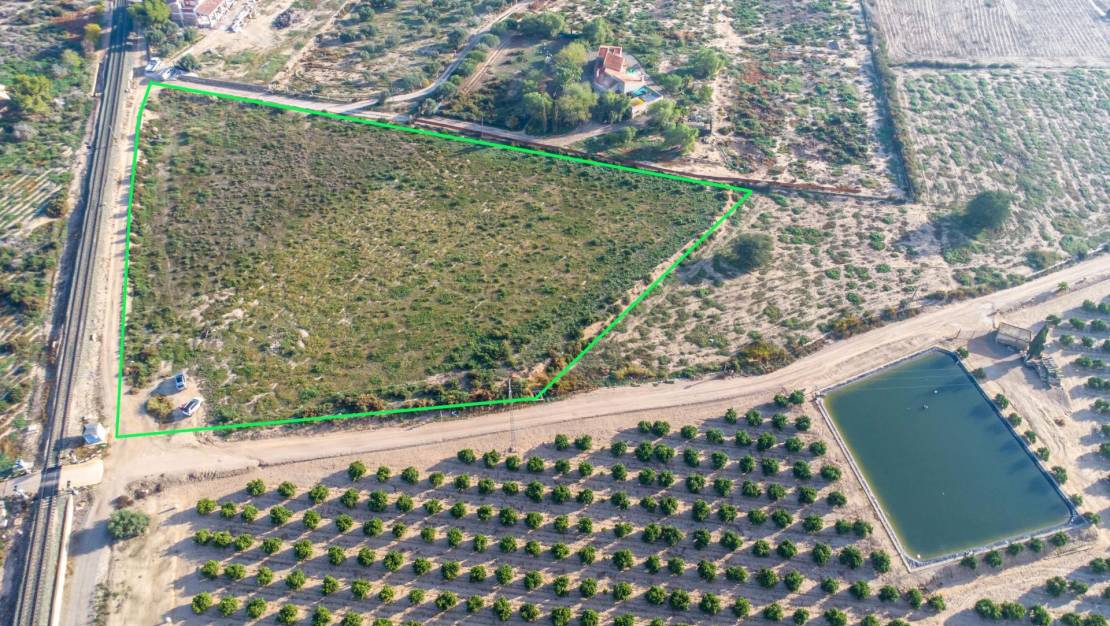 Sale - Country land - Crevillent - Comunidad valenciana