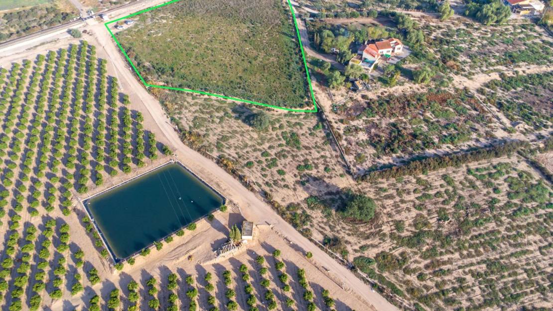 Sale - Country land - Crevillent - Comunidad valenciana