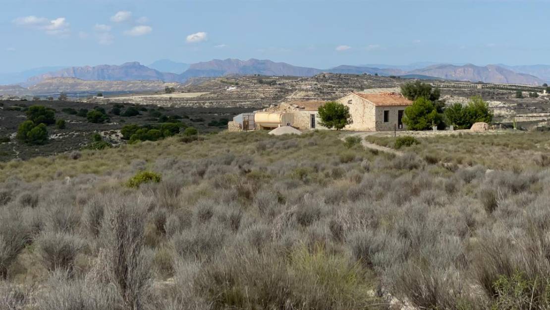 Sale - Country land - Orihuela - Torremendo