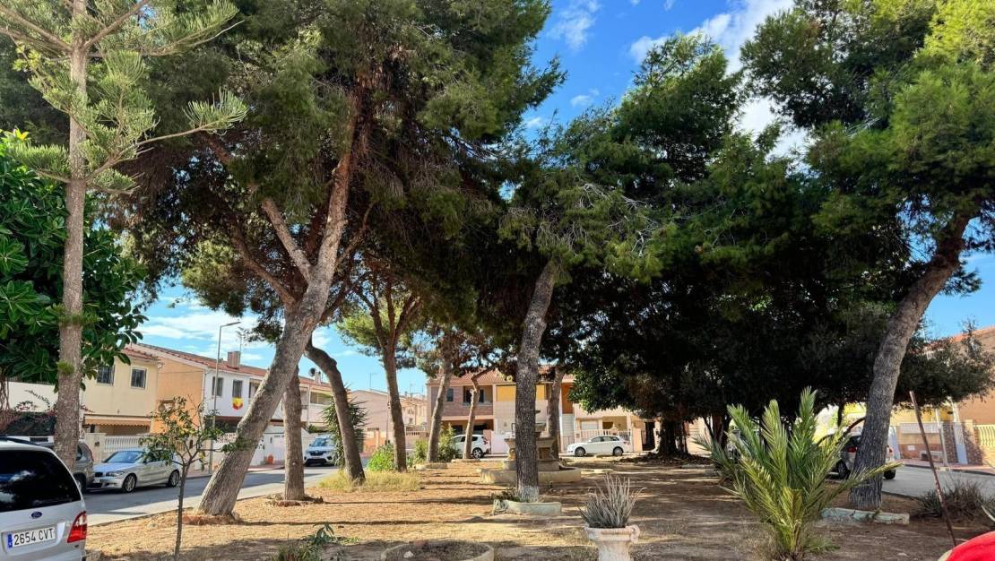 Sale - Duplex - Torrevieja - Playa de los Naufragos