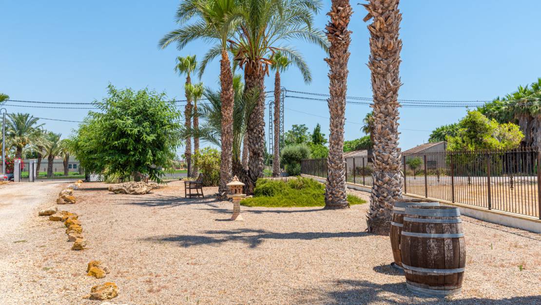 Sale - Finca / Country Property - Catral