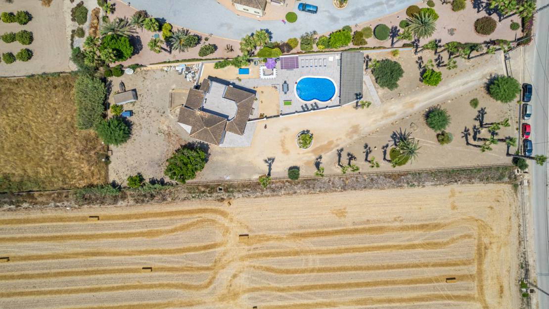 Sale - Finca / Country Property - Catral