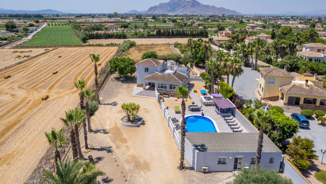 Sale - Finca / Country Property - Catral