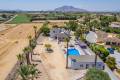 Sale - Finca / Country Property - Catral