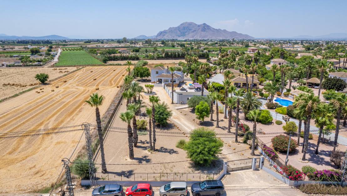 Sale - Finca / Country Property - Catral