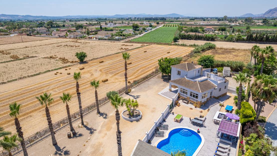 Sale - Finca / Country Property - Catral