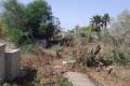 Sale - Finca / Country Property - Elche - La Hoya