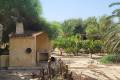 Sale - Finca / Country Property - Elche - La Hoya