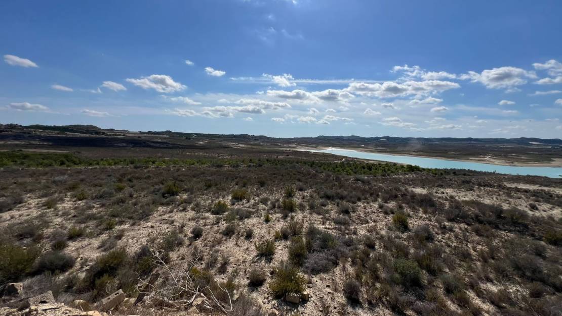 Sale - Finca / Country Property - Orihuela - Torremendo