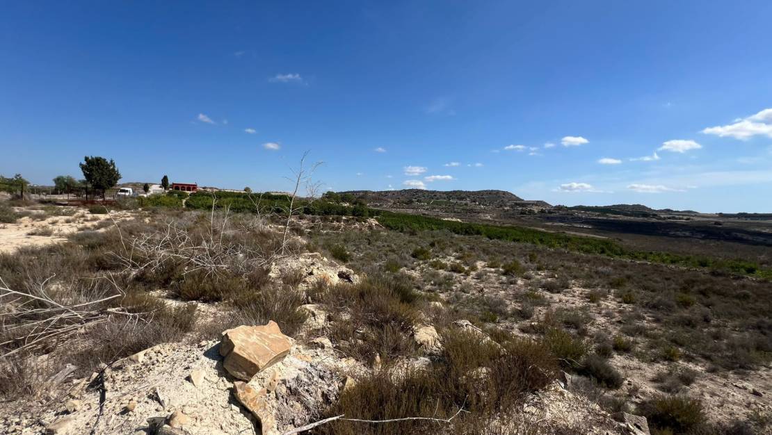 Sale - Finca / Country Property - Orihuela - Torremendo