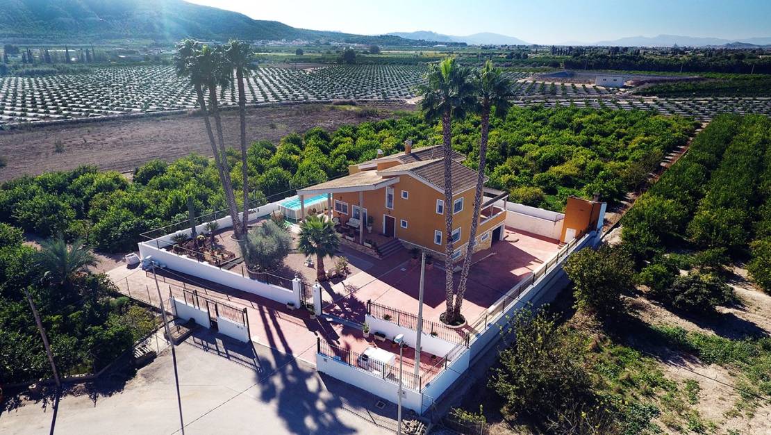 Sale - Finca - Orihuela - Correntías Medias