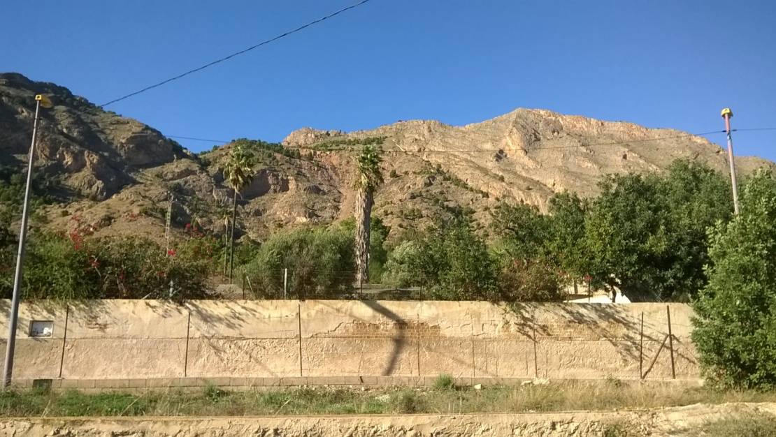 Sale - Finca - Orihuela - Raiguero de Bonanza