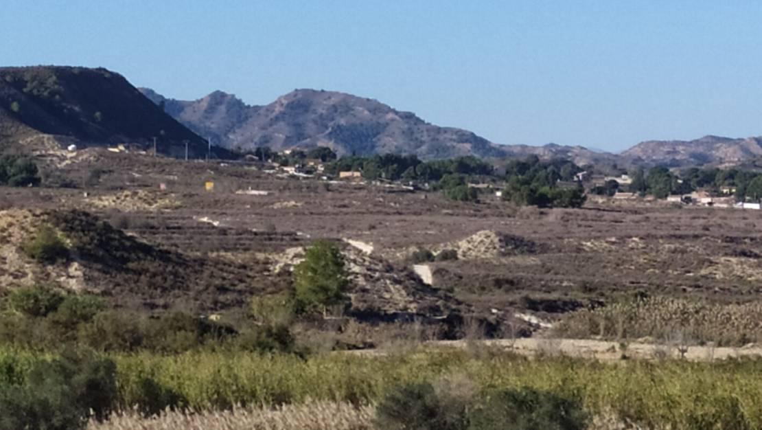 Sale - Finca - Orihuela - Zona Centro