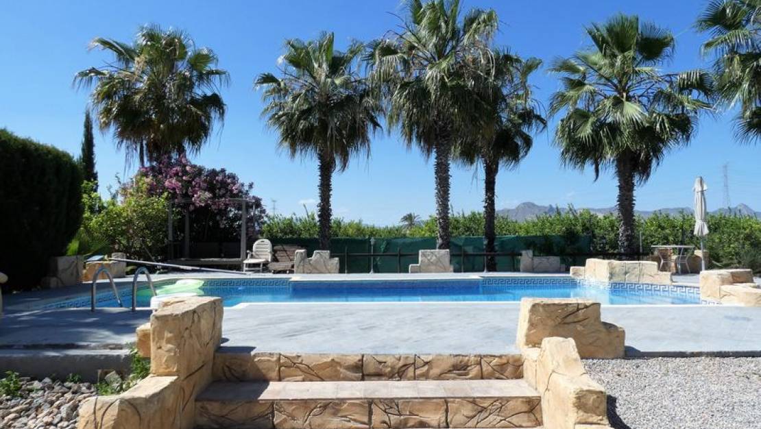 Sale - Finca - Orihuela