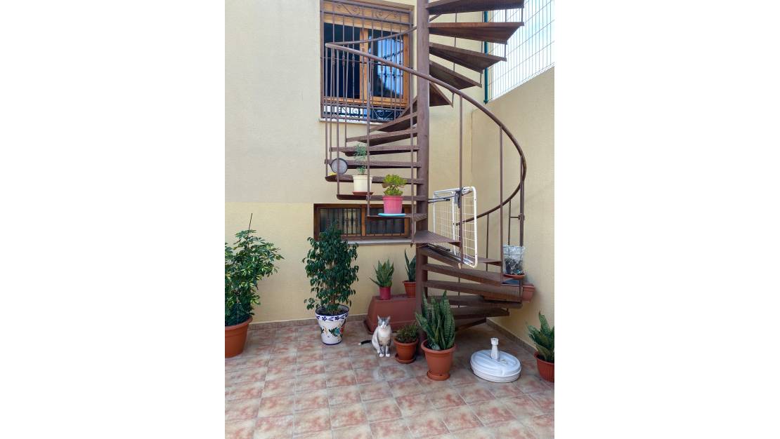 Sale - Finca - Rafal