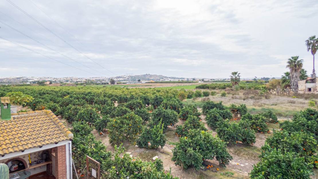 Sale - Finca - Rojales