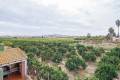 Sale - Finca - Rojales