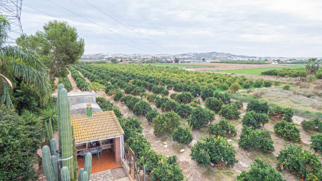 Sale - Finca - Rojales