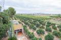 Sale - Finca - Rojales