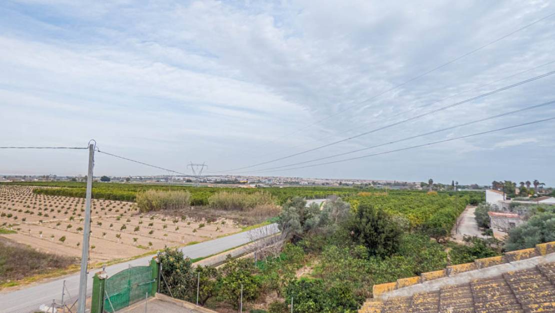 Sale - Finca - Rojales