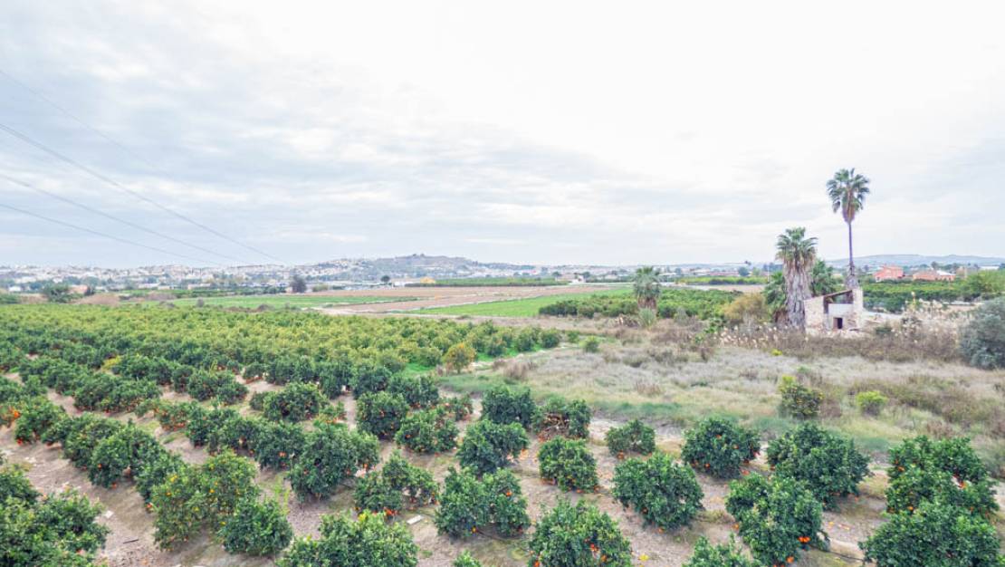 Sale - Finca - Rojales