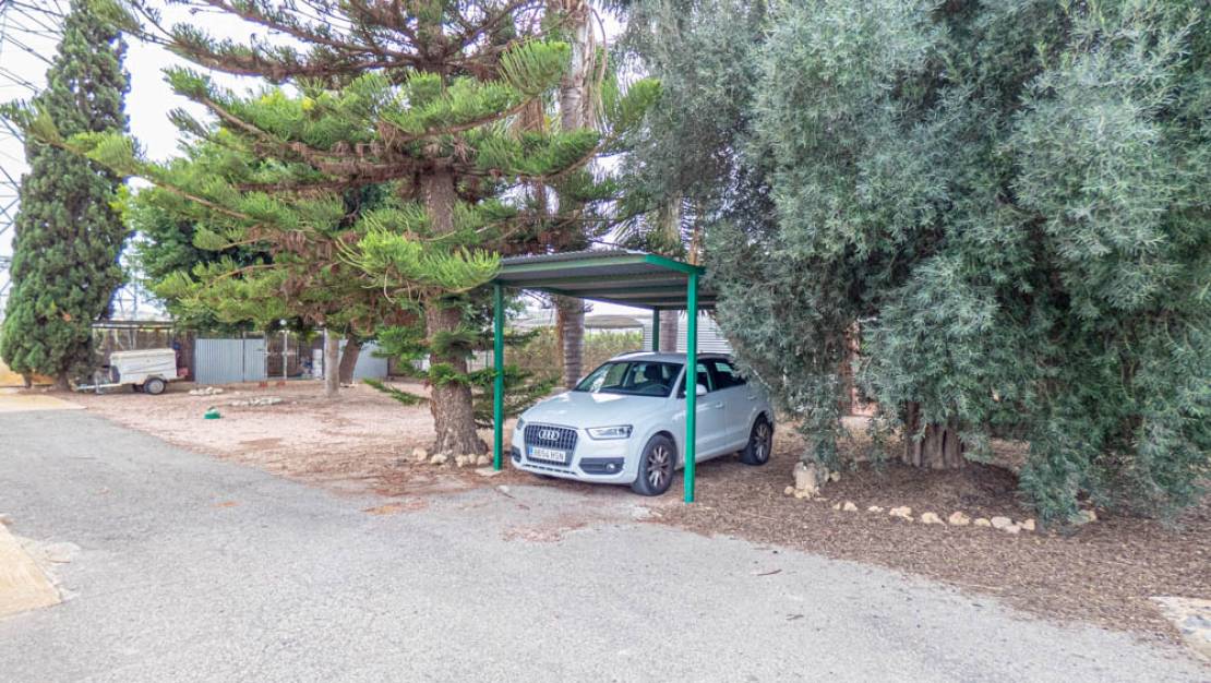 Sale - Finca - Rojales