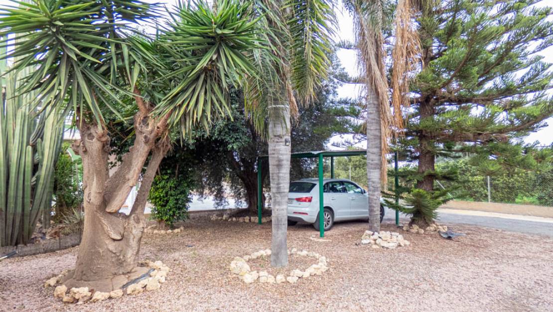Sale - Finca - Rojales