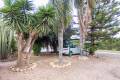 Sale - Finca - Rojales