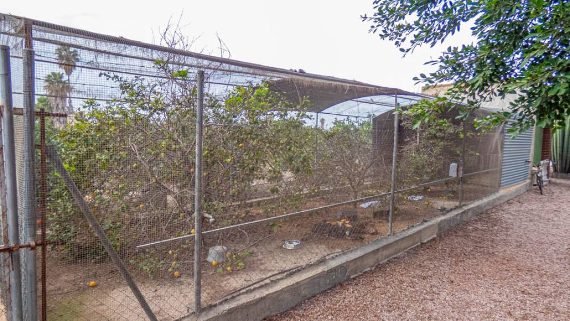 Sale - Finca - Rojales