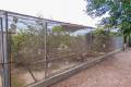 Sale - Finca - Rojales