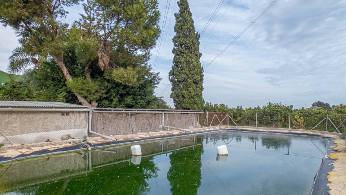 Sale - Finca - Rojales