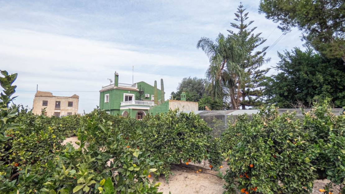 Sale - Finca - Rojales