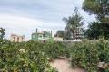 Sale - Finca - Rojales