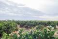 Sale - Finca - Rojales