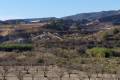 Sale - Finca - San Miguel de Salinas - San Miguel de Salinas Alicante