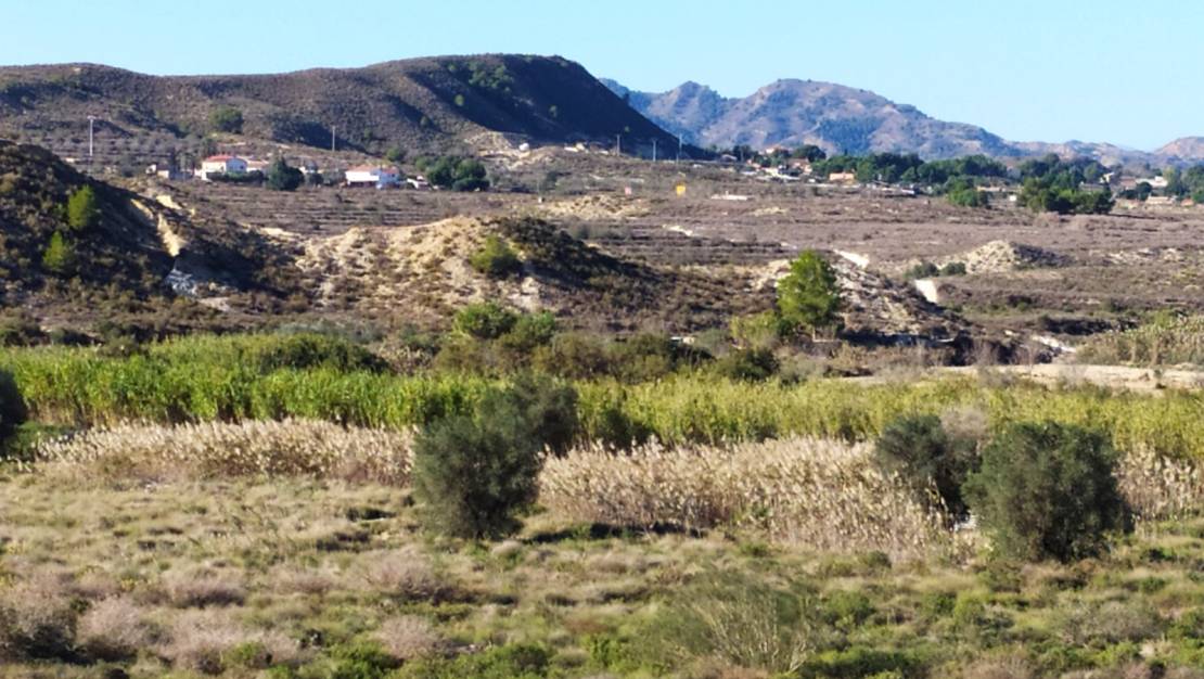 Sale - Finca - San Miguel de Salinas - San Miguel de Salinas Alicante