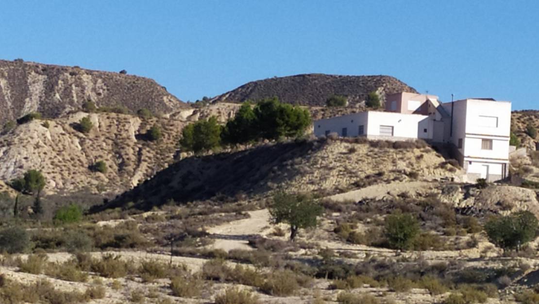 Sale - Finca - San Miguel de Salinas - San Miguel de Salinas Alicante