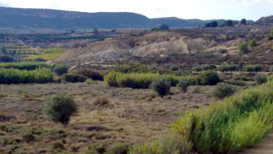 Sale - Finca - San Miguel de Salinas - San Miguel de Salinas Alicante