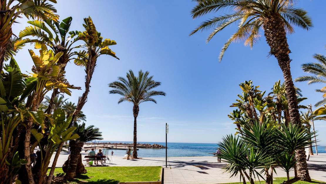 Sale - Flat - Torrevieja - Estacion de autobuses