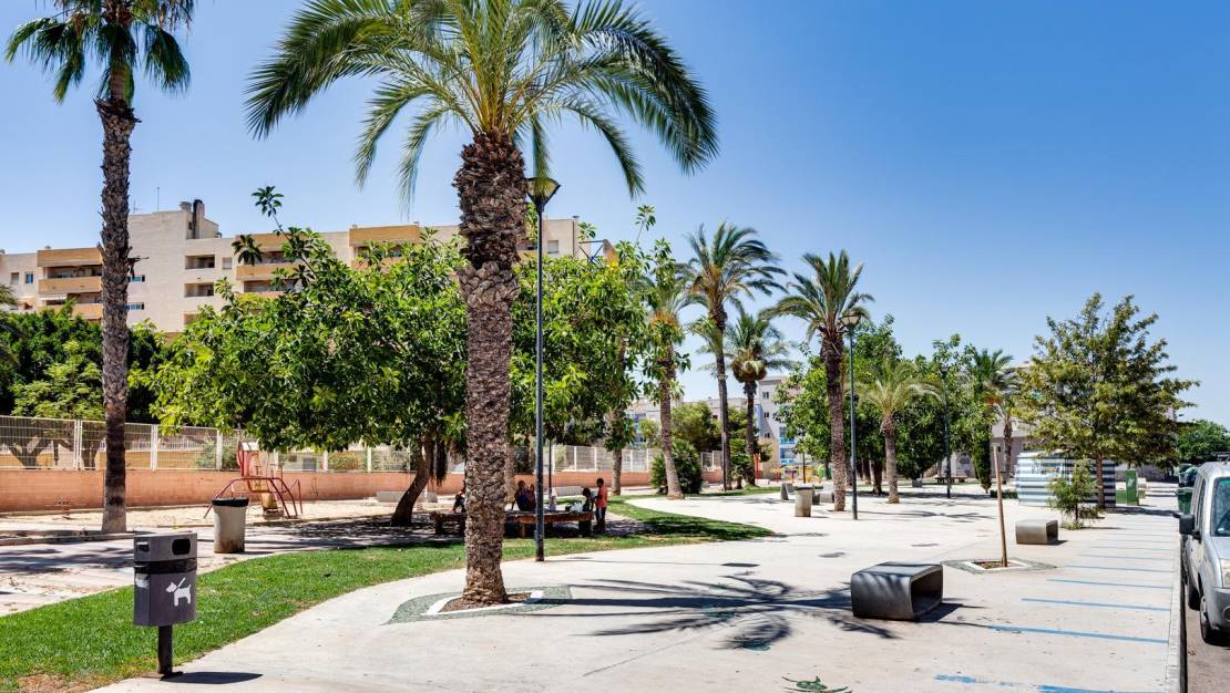 Sale - Flat - Torrevieja - Estacion de autobuses