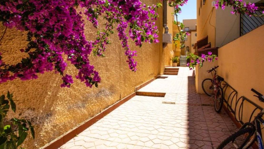 Sale - Flat - Torrevieja - Nueva Torrevieja