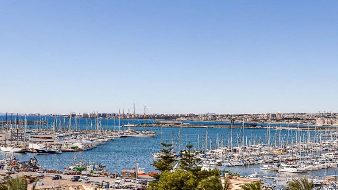 Sale - Flat - Torrevieja - Nueva Torrevieja