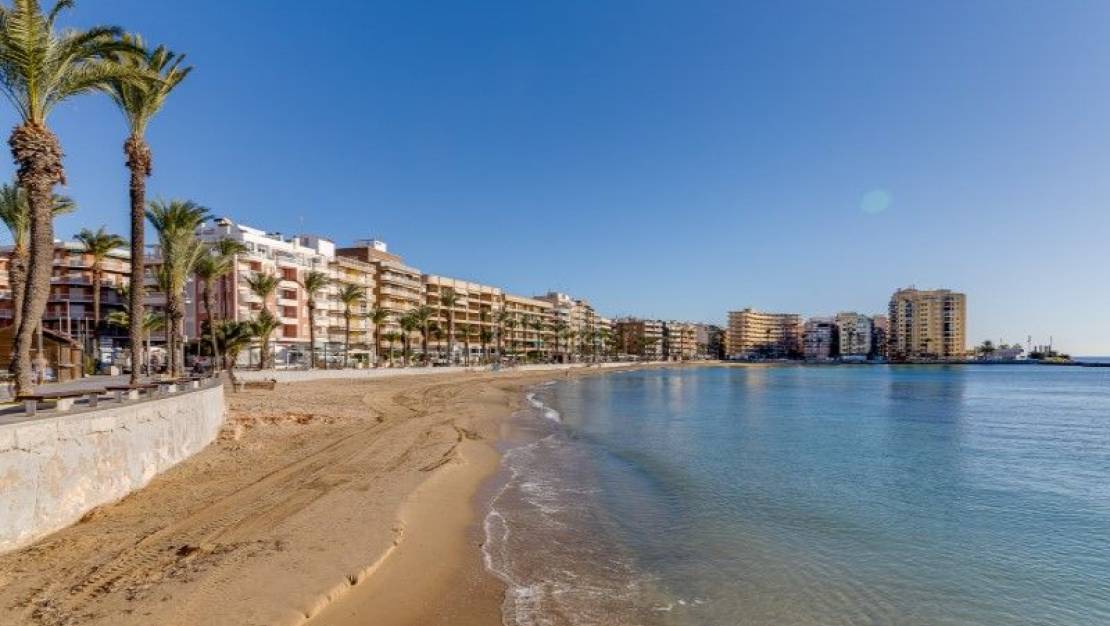 Sale - Flat - Torrevieja - Nueva Torrevieja