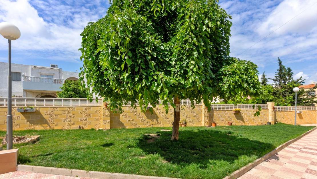 Sale - Ground Floor - Torrevieja - El chaparral