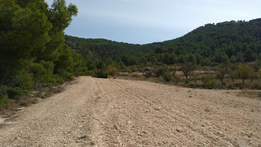 Sale - Land - Abanilla - Abanilla Centro