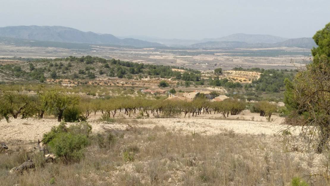 Sale - Land - Abanilla - Abanilla Centro