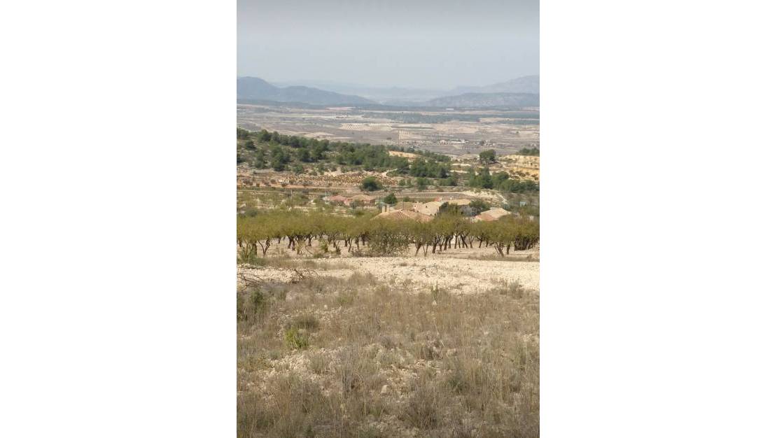 Sale - Land - Abanilla - Abanilla Centro