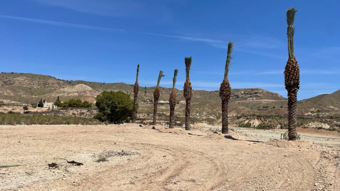 Sale - Land - Abanilla - Abanilla Centro